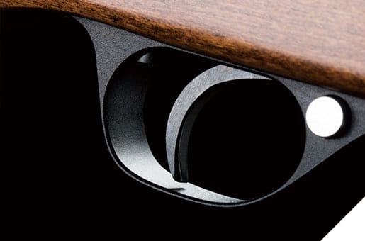 Rifle de Aire Comprimido PR900 – Sistema PCP, Calibre .22” (5.5mm)