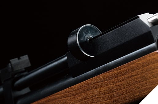 Rifle de Aire Comprimido PR900 – Sistema PCP, Calibre .22” (5.5mm)